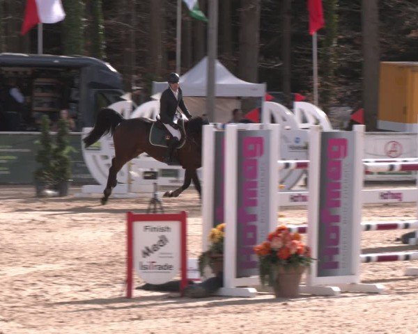 Reitturnier Ranshofen - Braunau am Inn 2024