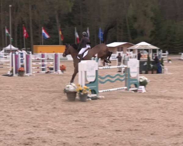 Reitturnier Ranshofen - Braunau am Inn 2024