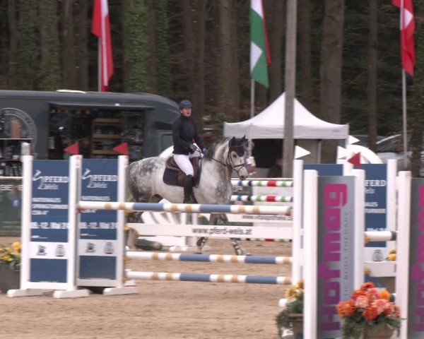 Reitturnier Ranshofen - Braunau am Inn 2024