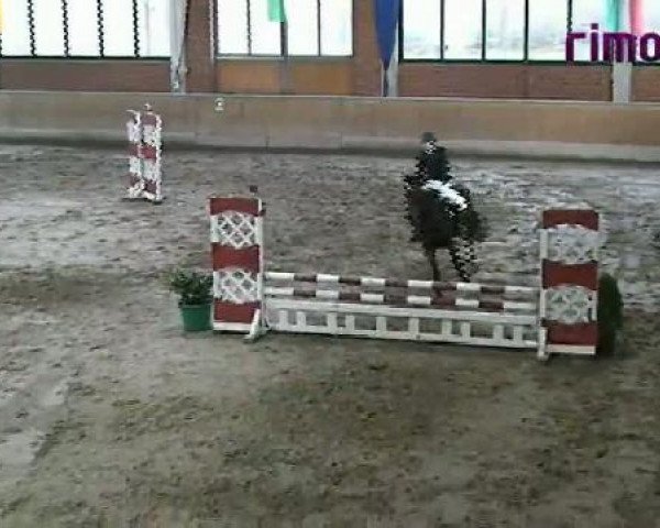 Heiden 2011
