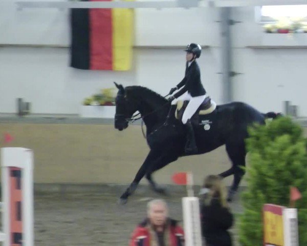 Reitturnier Waghäusel-Wiesental 2024