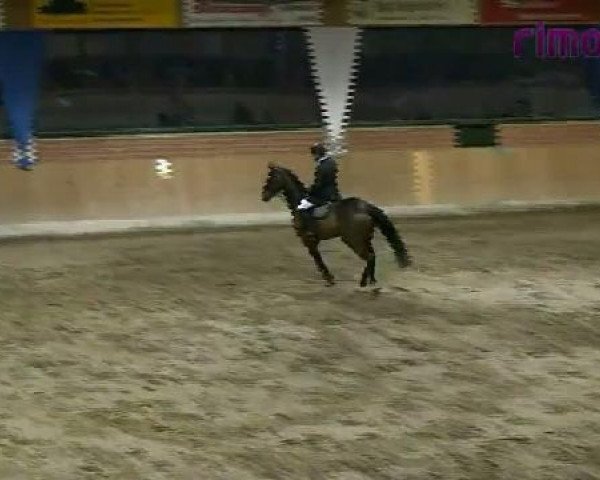 Heiden 2011