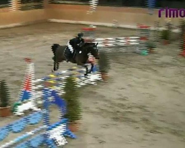 Heiden 2011