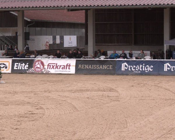 Reitturnier Ranshofen - Braunau am Inn 2024