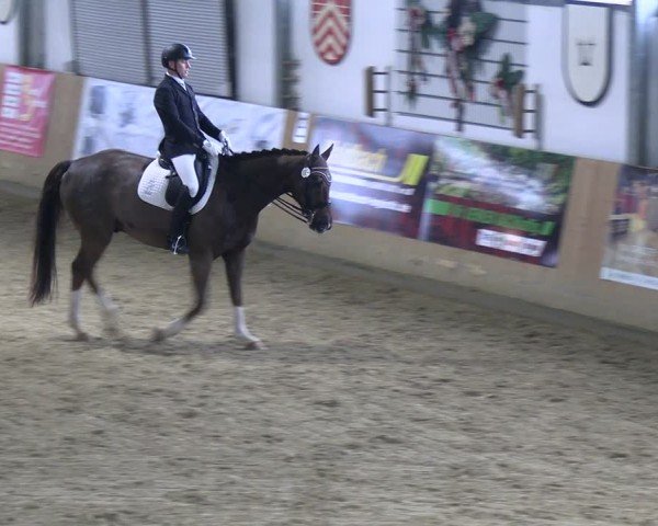Reitturnier Borgholzhausen-Westbarthausen 2024