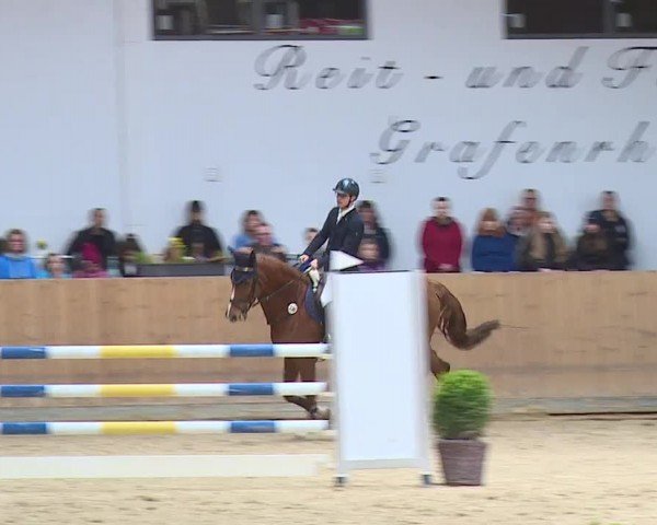 Reitturnier Grafenrheinfeld/Ufr. 2024