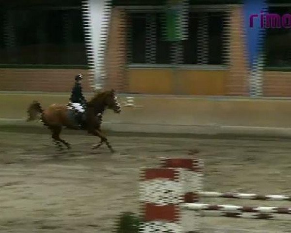 Heiden 2011