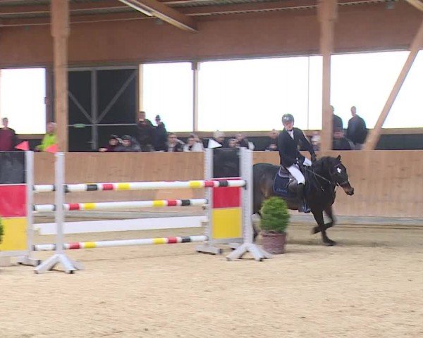 Reitturnier Grafenrheinfeld/Ufr. 2024
