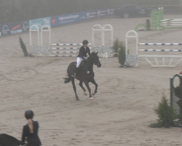 Reitturnier Scharnebeck 2024