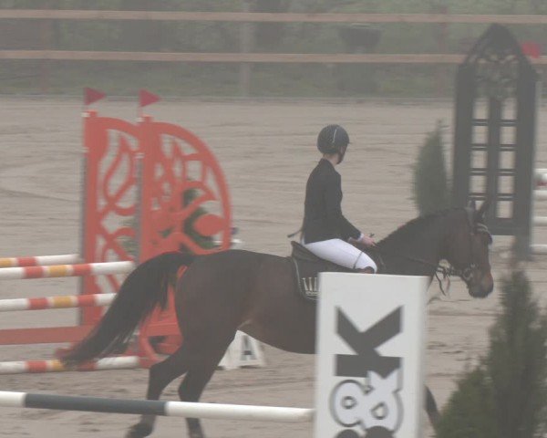 Reitturnier Scharnebeck 2024