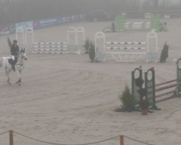 Reitturnier Scharnebeck 2024