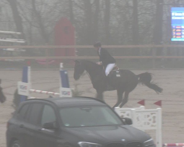 Reitturnier Scharnebeck 2024