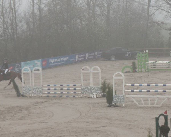 Reitturnier Scharnebeck 2024