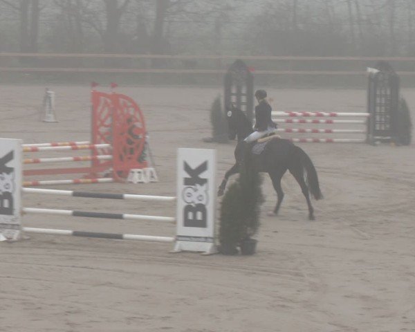 Reitturnier Scharnebeck 2024