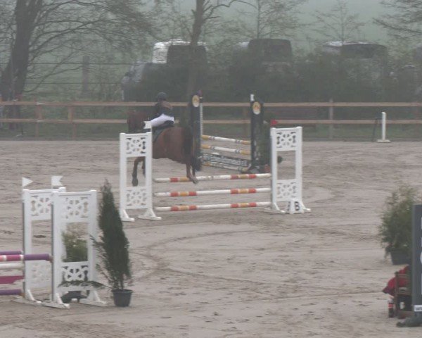 Reitturnier Scharnebeck 2024