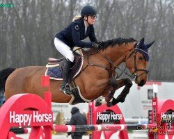 jumper Chaccero (Hanoverian, 2017, from Cicero Z van Paemel)