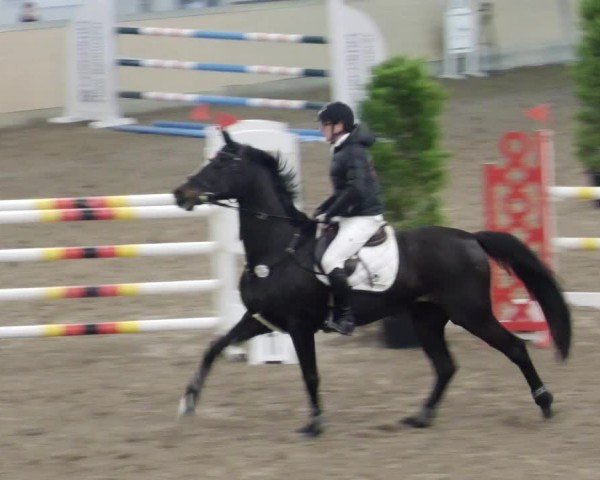 Reitturnier Waghäusel-Wiesental 2024