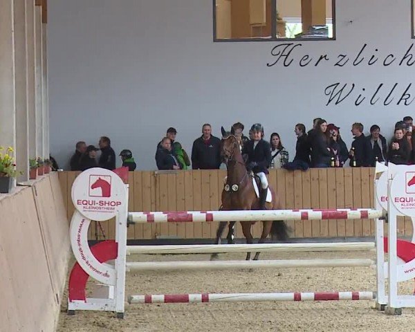 Reitturnier Grafenrheinfeld/Ufr. 2024