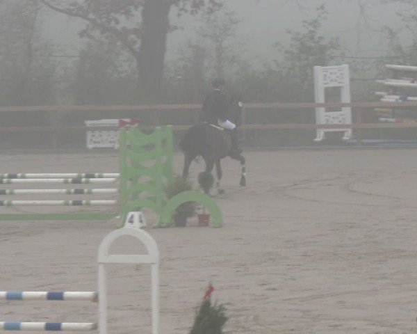 Reitturnier Scharnebeck 2024