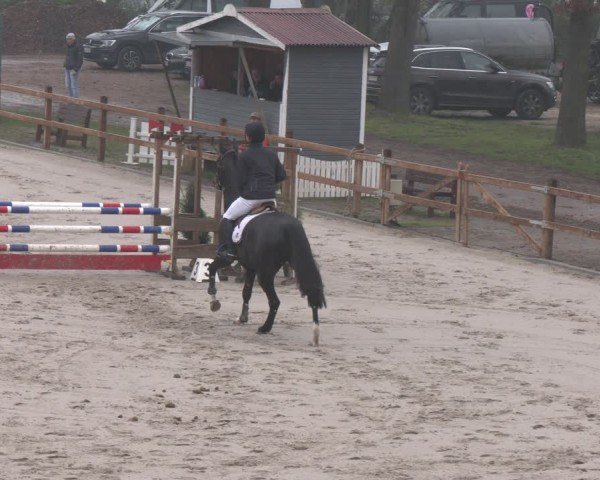 Reitturnier Scharnebeck 2024