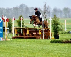 Springpferd Schwuppdiwupp 5 (Deutsches Reitpony, 2018, von Jonker's Socrates)