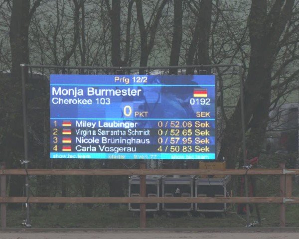 Reitturnier Scharnebeck 2024