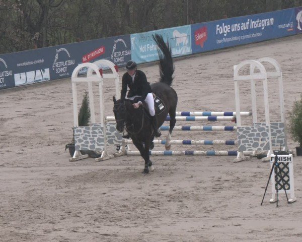 Reitturnier Scharnebeck 2024