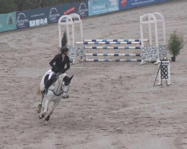 Reitturnier Scharnebeck 2024