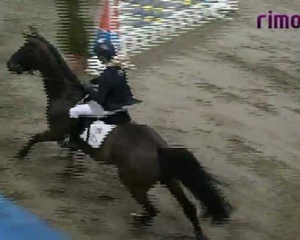 Heiden 2011