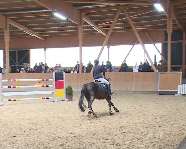 Reitturnier Grafenrheinfeld/Ufr. 2024