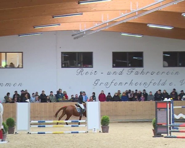 Reitturnier Grafenrheinfeld/Ufr. 2024