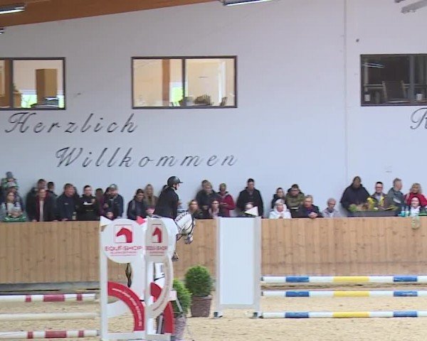 Reitturnier Grafenrheinfeld/Ufr. 2024
