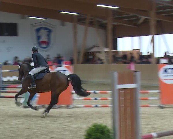 Reitturnier Grafenrheinfeld/Ufr. 2024