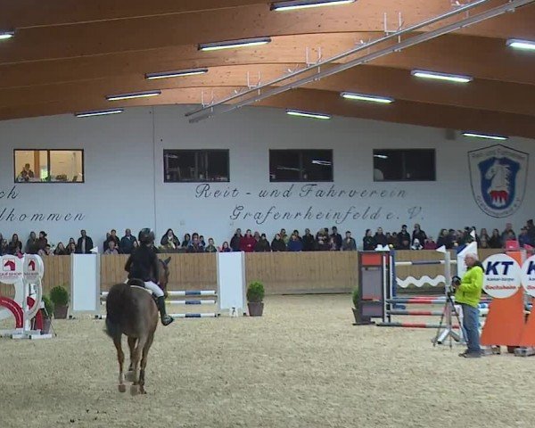 Reitturnier Grafenrheinfeld/Ufr. 2024