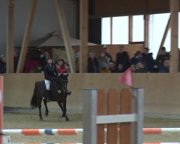 Reitturnier Grafenrheinfeld/Ufr. 2024