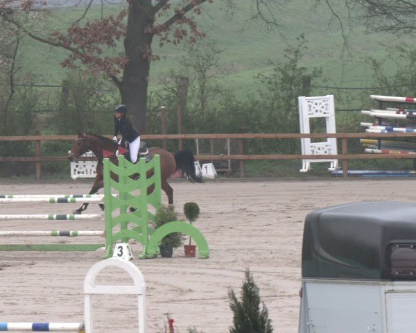 Reitturnier Scharnebeck 2024
