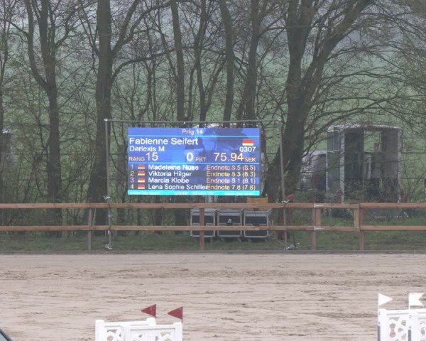 Reitturnier Scharnebeck 2024