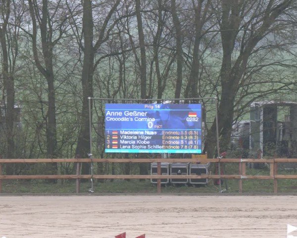 Reitturnier Scharnebeck 2024
