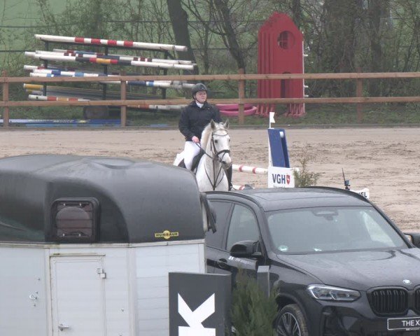 Reitturnier Scharnebeck 2024