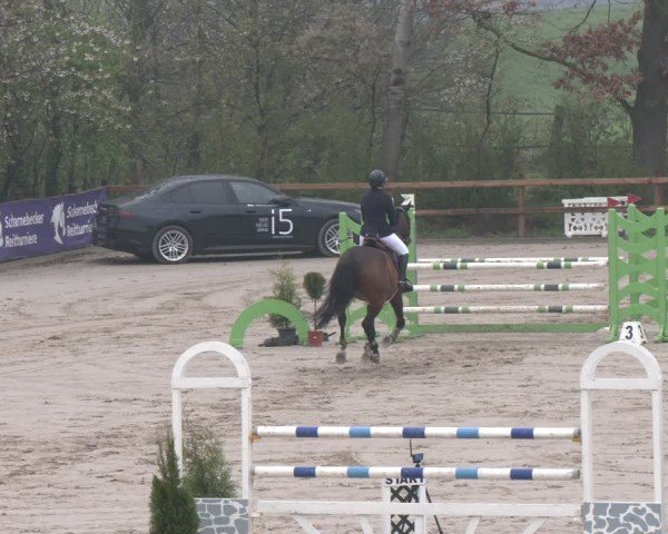 Reitturnier Scharnebeck 2024