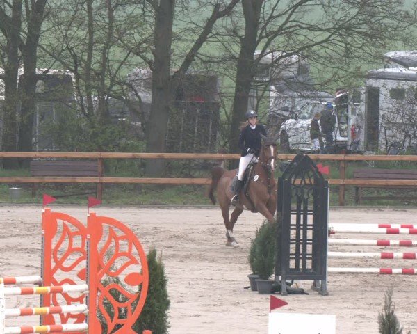 Reitturnier Scharnebeck 2024