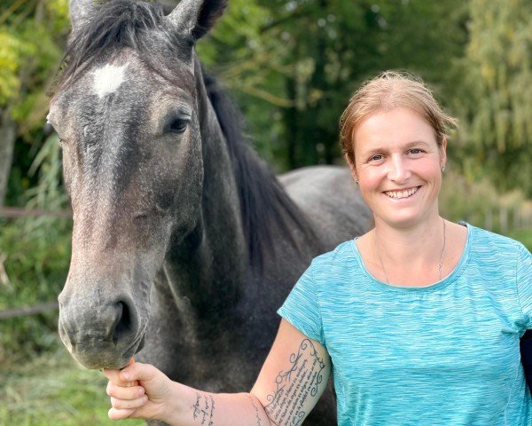 horse Viviano AG (Oldenburg show jumper, 2022, from Vingino)