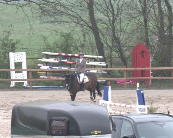 Reitturnier Scharnebeck 2024