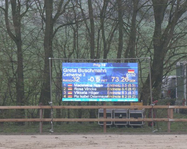 Reitturnier Scharnebeck 2024