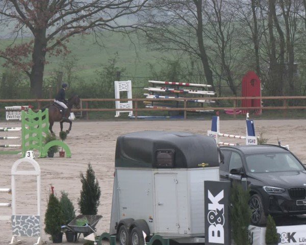 Reitturnier Scharnebeck 2024