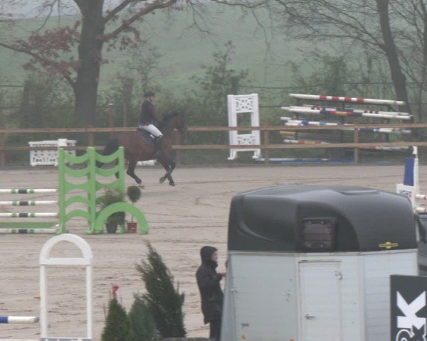 Reitturnier Scharnebeck 2024