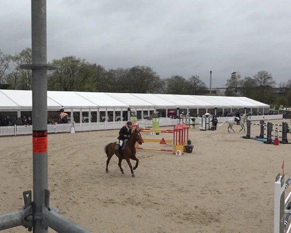 Reitturnier Amriswil 2024