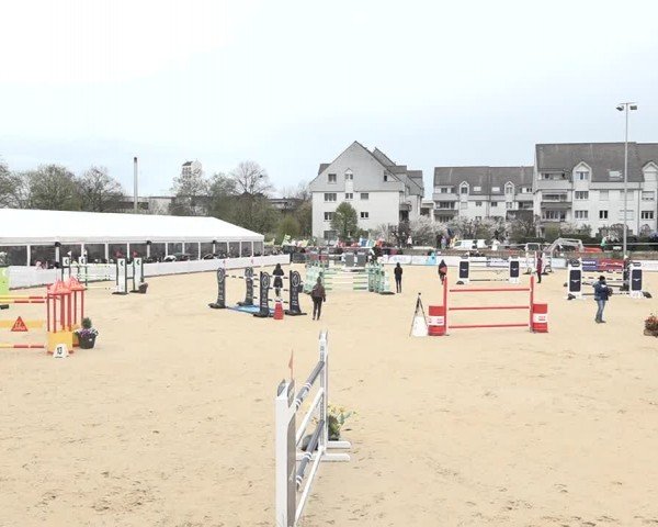 Reitturnier Amriswil 2024