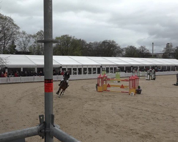 Reitturnier Amriswil 2024