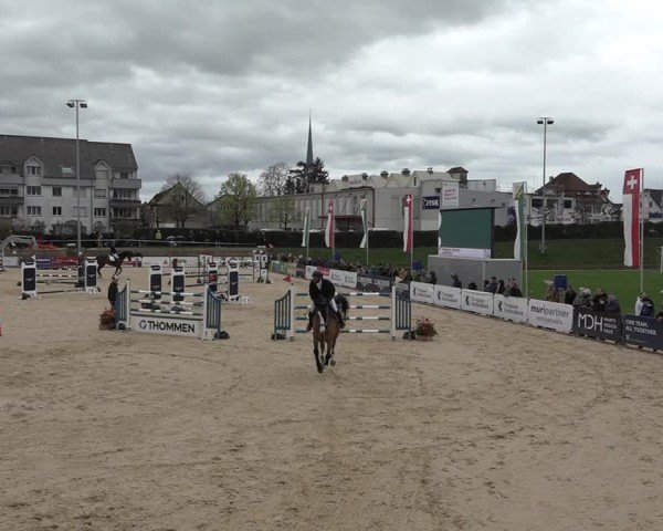 Reitturnier Amriswil 2024